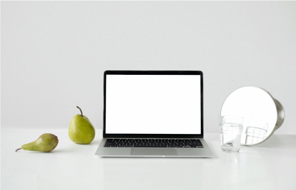 WordPress website development